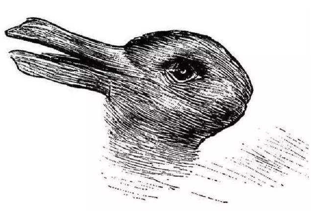 鸭兔图.png